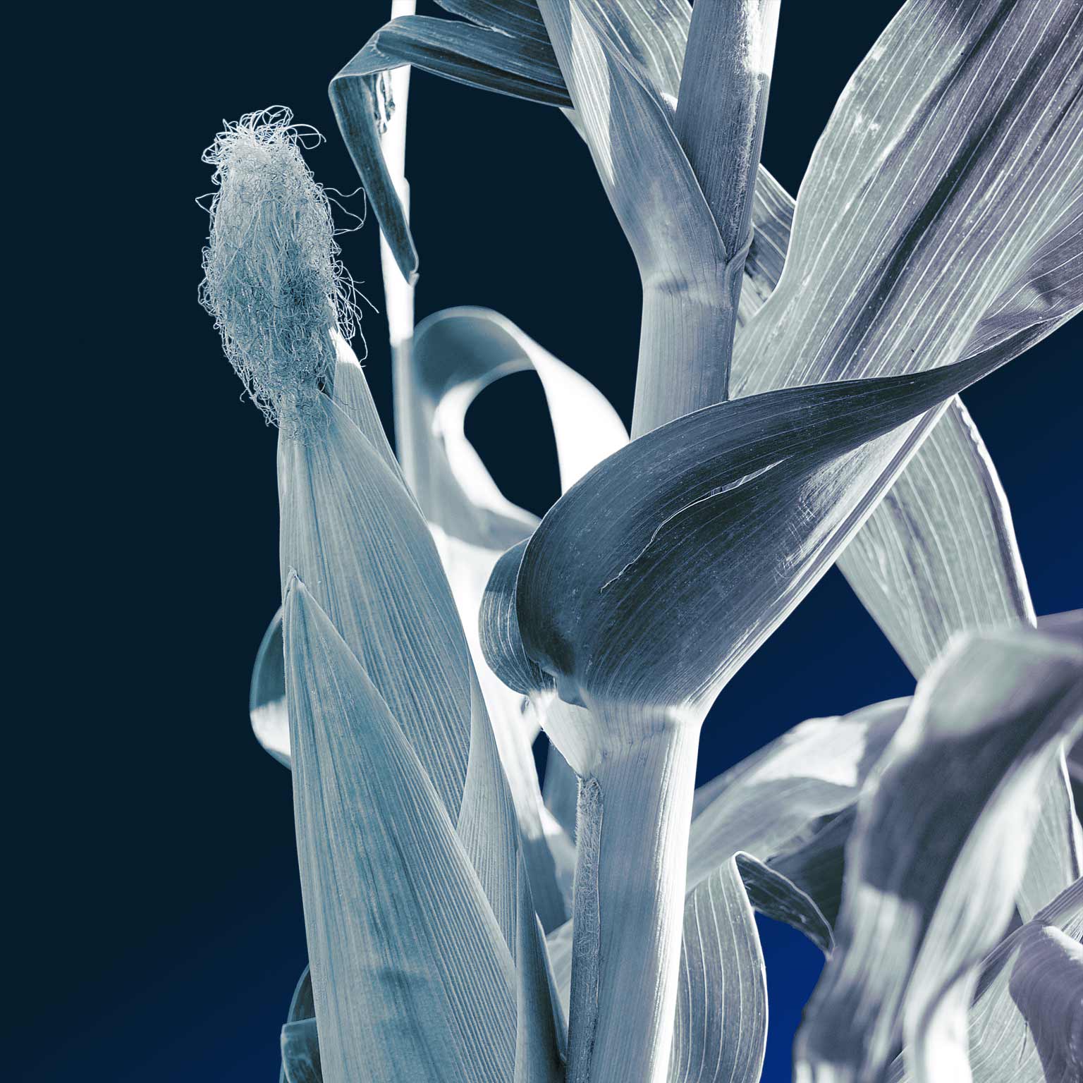 Agriculture consulting McKinsey & Company Agriculture McKinsey & Company